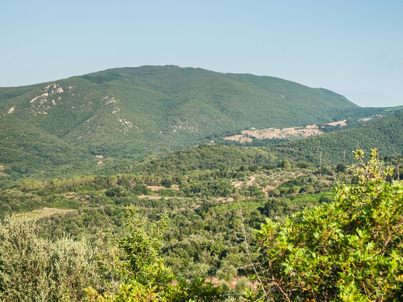 SUVERETO